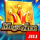 Mega Ace 789 bingo slot