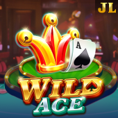 Wild Ace 789 bingo casino